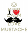 /album/csak-ugy-/keep-calm-and-love-mustache-398-png/