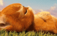 /album/csak-ugy-/shrekcica-gif/