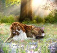 /album/csak-ugy-/wolf-jpg/